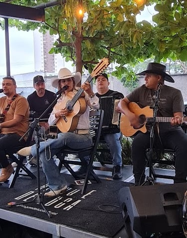 Banda de Sertanejo FF produções artísticas