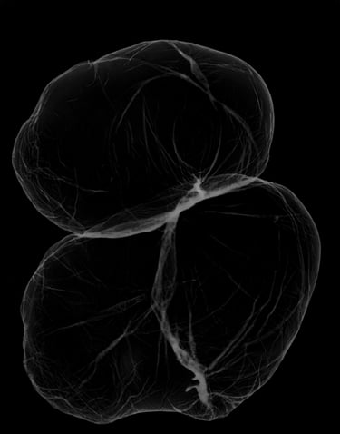 Studies on abstraction