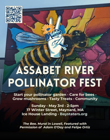 Poster for Assabet River Pollinator Fest featuring a colorful honeybee mural by Adam O'Day and Felipe Ortiz.