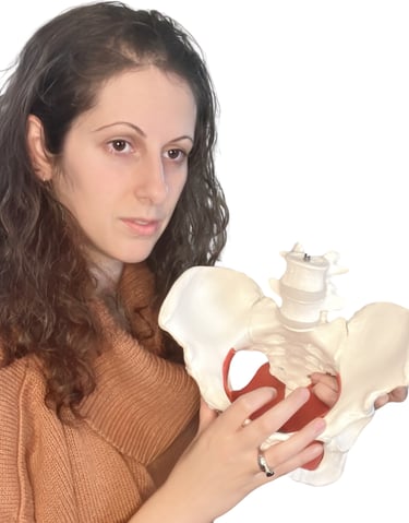educating client on their pelvic health using a model pelvis