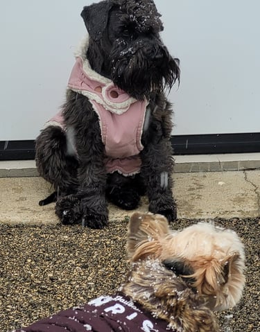 Tessie attend des bébés !