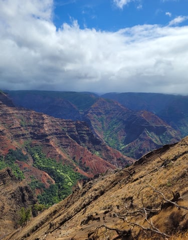 Waimea Canyon Kauai