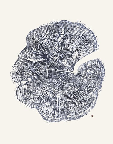 Grabado árbol Fresno 01, hecho a mano Autreesia estudio. Javier Núñez Arquitecto