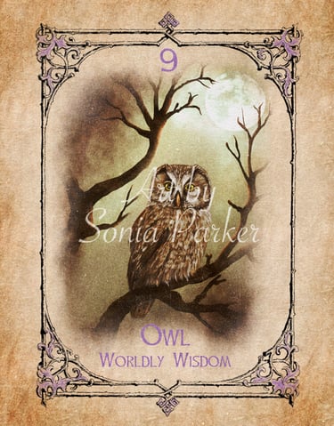 Owl spirit animal card from the animal spirit oracle 