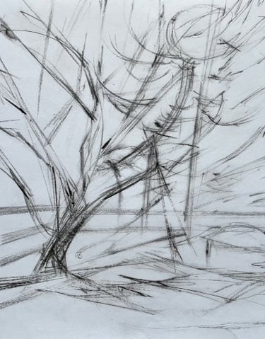 Around the little oak - original A3 drawing