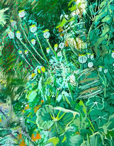 Veg bed digital drawing