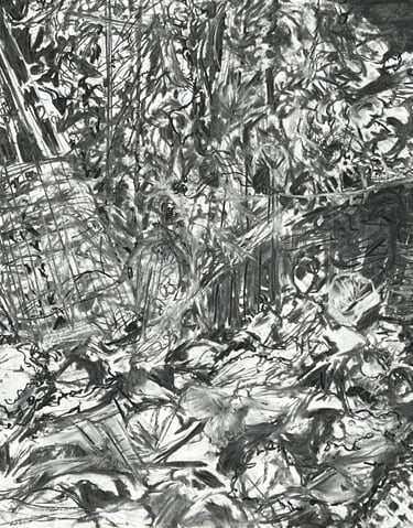 Veg bed study in charcoal