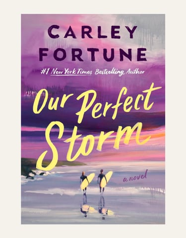 Book Cover Our Perfect Storm
