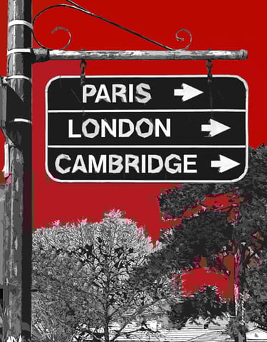 Direction Sign 14146