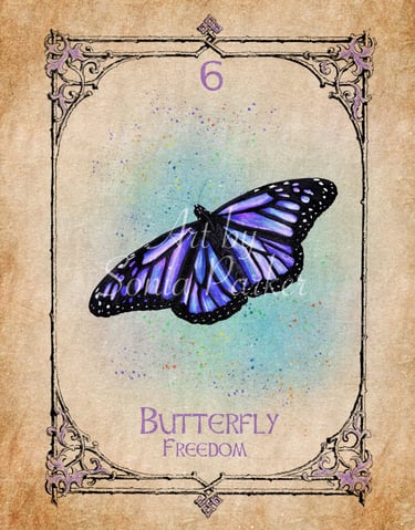 Butterfly card from the animal spirit oracle deck