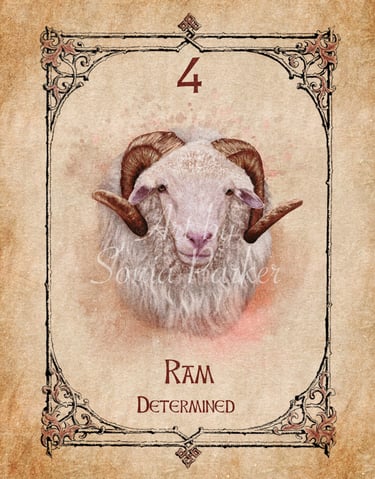 Ram card from the animal spirit oracle deck