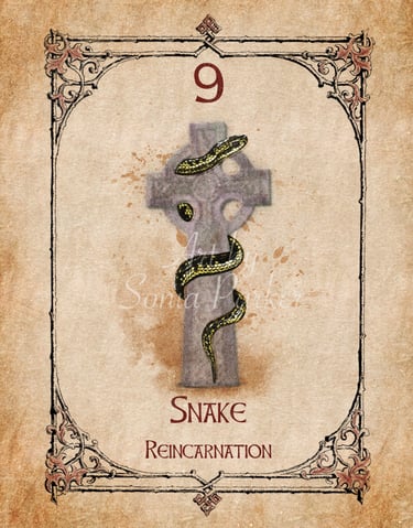 Snake card from the animal spirit oracle deck