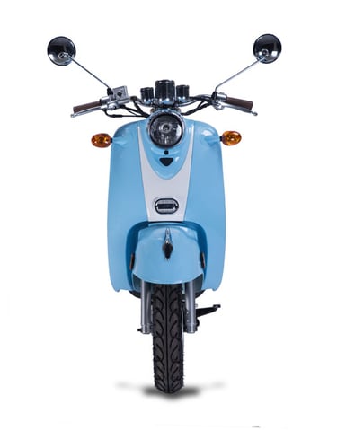 ZNEN Wolf Islander blue