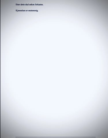 domstolens avgjørelse sak Zainab Abdulkarim Ali, Zainab Art, Oslo politidistrikt Korrupsjon