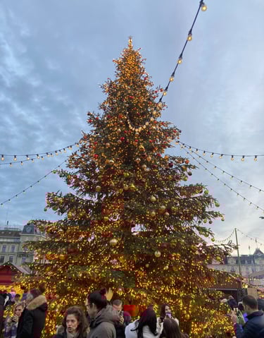 Zurich Christmas tree