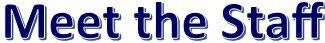 Page title
