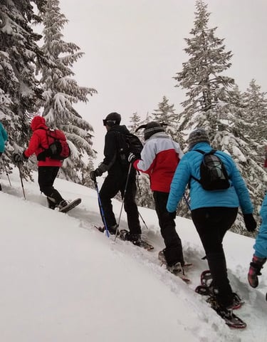 Grupo en actividad de raquetas de nieve