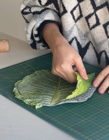 coupelle chou argile autodurcissante diy
