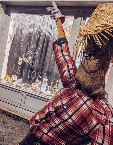 a scarecrow scarecrow scarecrow scarecrow scarecrow scarecrow scarecrow scare