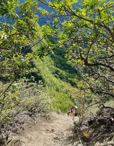 Olomana Trail Three Peaks Hawai'i O'ahu
