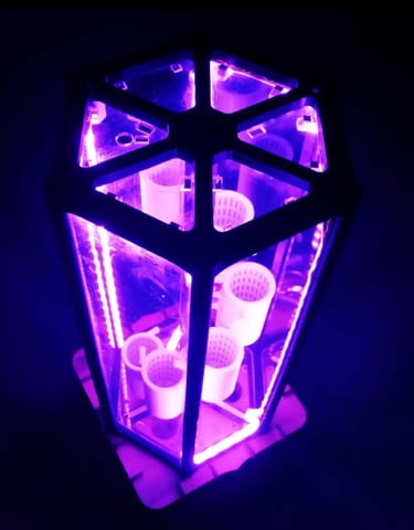 mini serre hydroponique