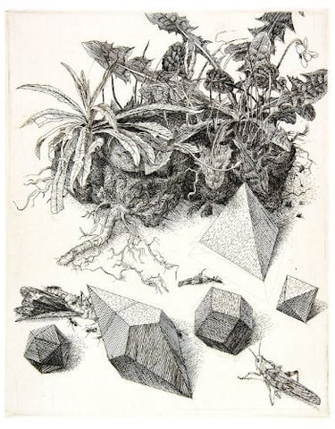 Piece of Turf Durer Homage hand engraving grasshopper polyhedra Robert De Groff DeGroff