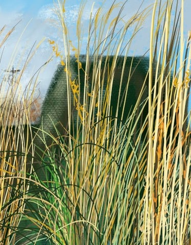 Digital drawing: Winter grasses