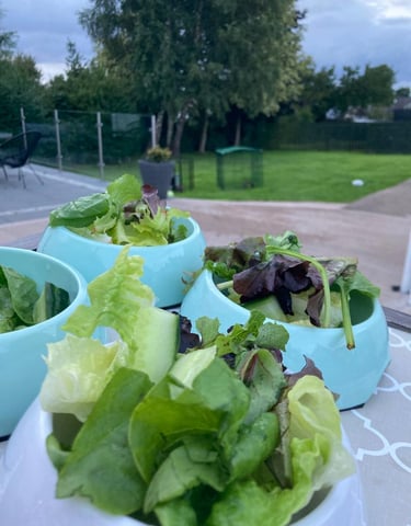 seasonal vegetables & herbs for rabbits
