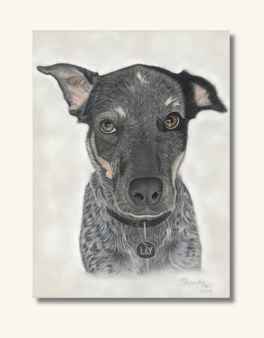 Commissioned Dog Portrait