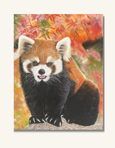 Red Panda Art