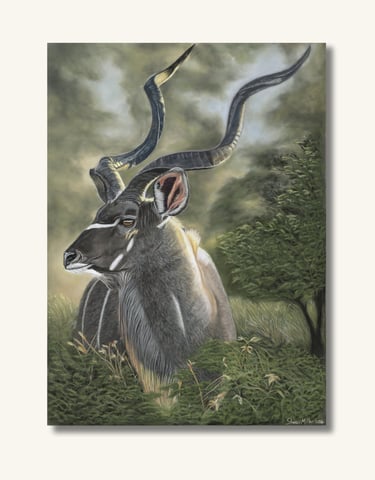 Greater Kudu artwork