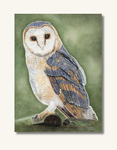 Owl Original Painting