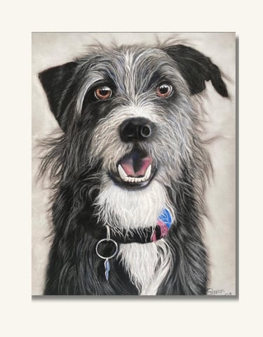 Australian Pet Portrait Artist