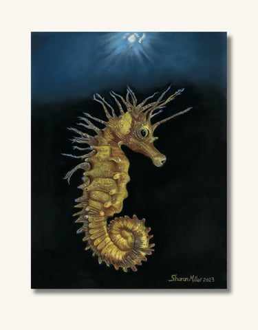 Sea Horse Original Painting