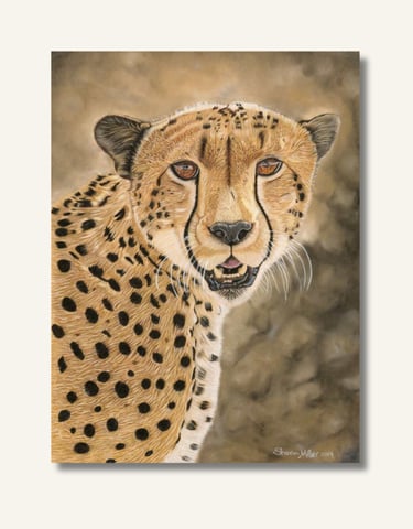 Cheetah Original Painting