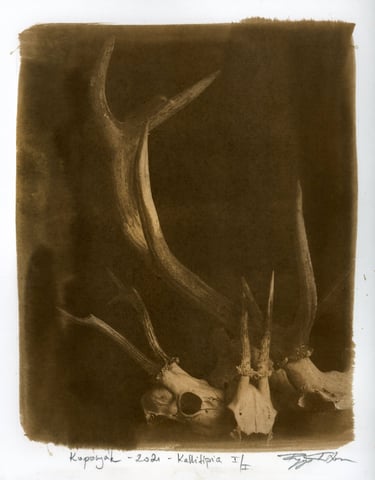 alternative photography, showcasing experimental visual art.