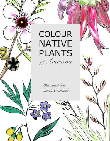 Cover of 'Colour Native Plants of Aotearoa' by Sarah Overdale, featuring colourful plant art