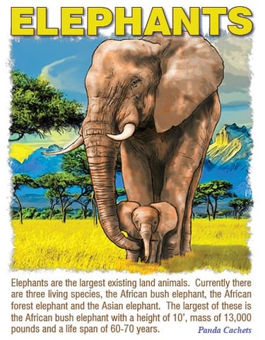 Cachet illustration of female elephant and baby
