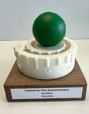Trophée en impression 3D et en bois