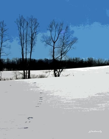 Winter Field 0784