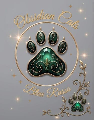 LOGO PATTES DE CHAT OBSIDIAN CATS