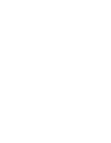 solidproof shield