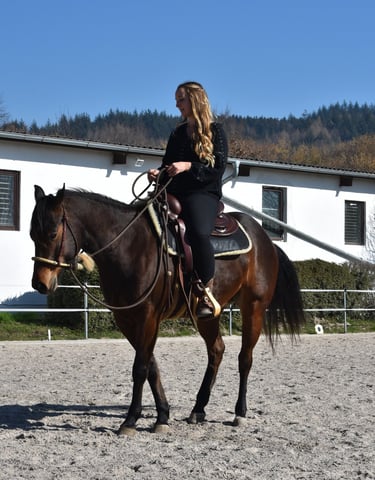 Braune Warmblutstute mit Reiterin auf gepflegtem Reitplatz. Geritten im Bosal. 