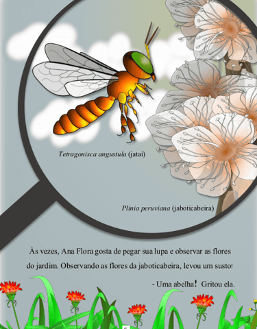 abelha jataí visitando flores de jaboticabeira