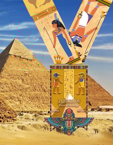 virtual challenge -  Pyramids of Giza