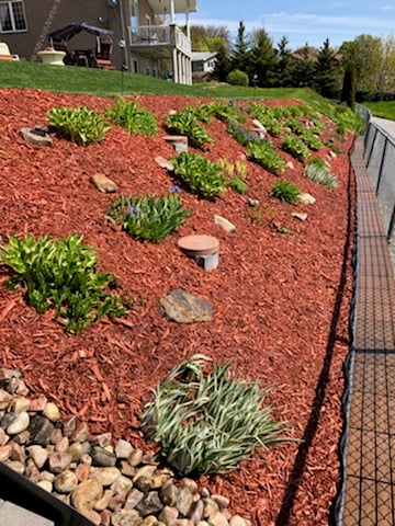 section-image-one