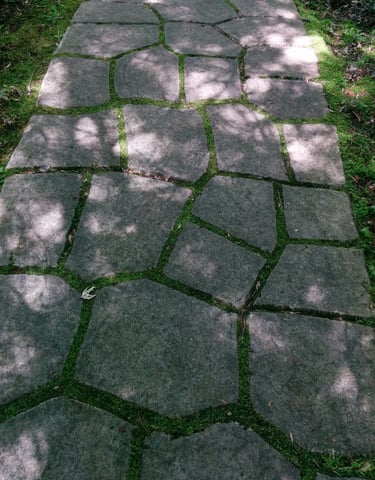 section-image-four