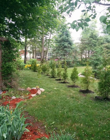 section-image-two