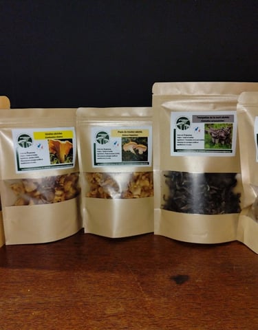 toute une gamme de champignons sauvage séchés et déshydratés girolles cèpes trompettes chanterelles
