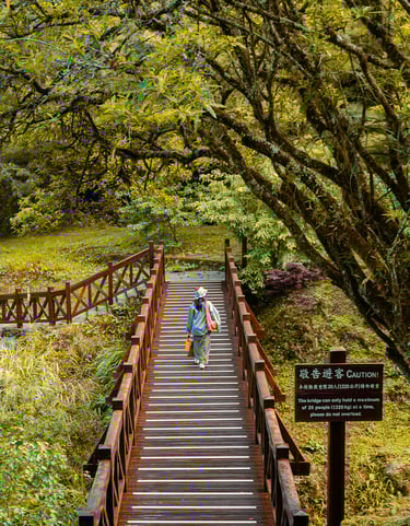 Alishan, Taiwan
